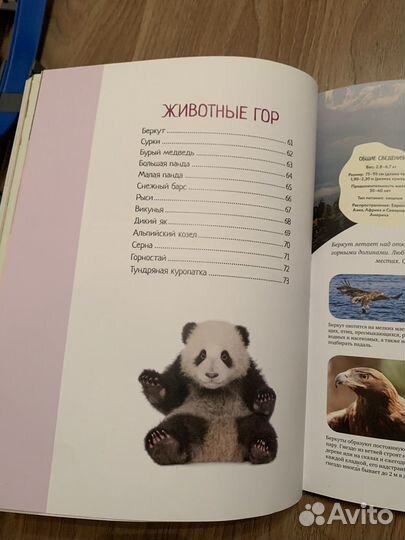 Детская энциклопедия махаон