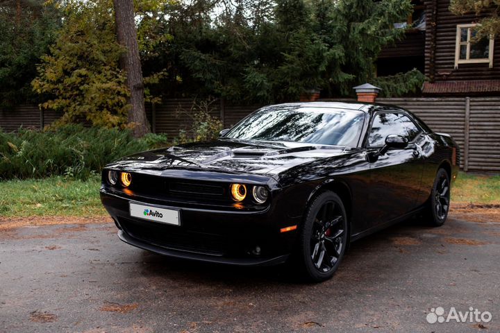 Dodge Challenger 3.6 AT, 2020, 61 500 км