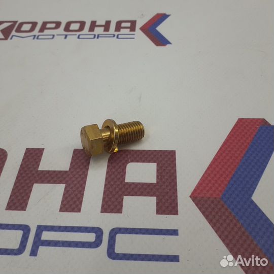 Болт крепления заднего суппорта