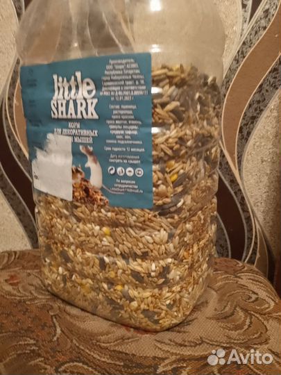 Крыса дамбо