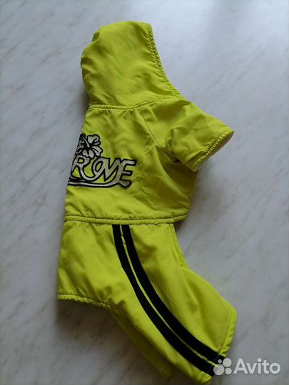 Комбинезон для маленькой собачки