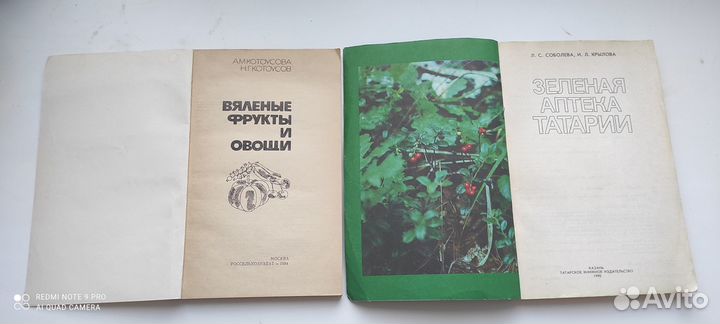 Книги СССР. Зелёная аптека Татарии. Вяленые фрукты