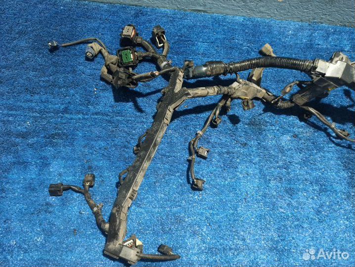 Проводка двигателя Honda Pilot 2