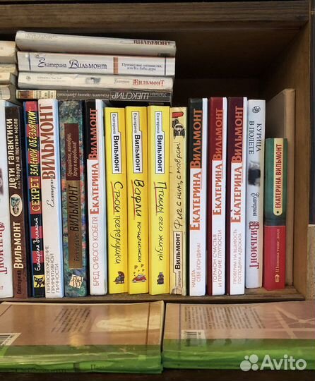 Книги Екатерины Вильмонт