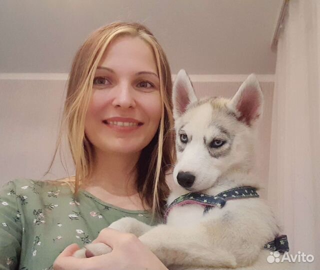 Передержка животных/собак/кошек, зооняня, присмотр