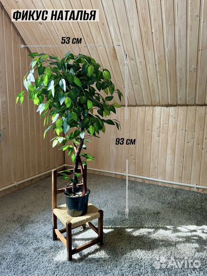 Искусственное дерево фикус