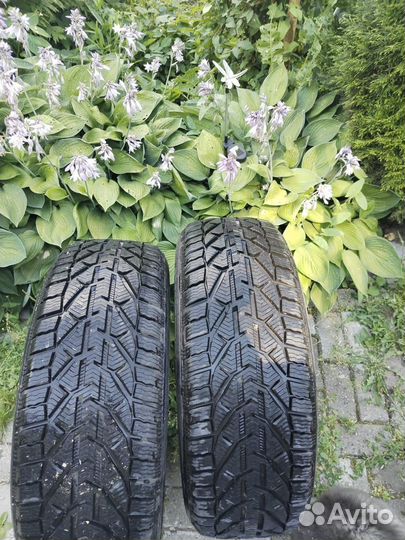 Tigar Winter 235/60 R18