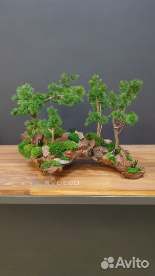 Дерево Бонсай стабилизированный мох ручная работа