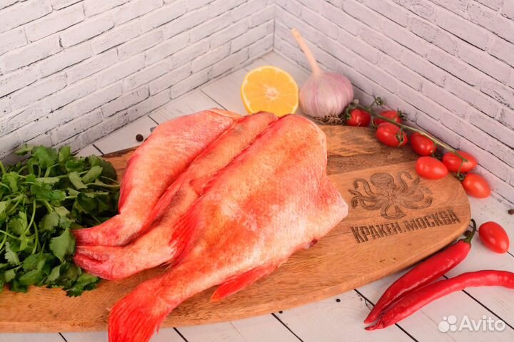 Окунь морской