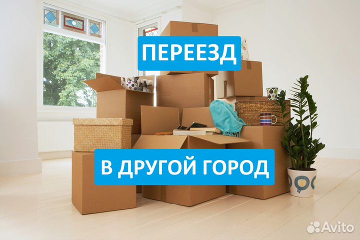 Смоленск – Москва – Смоленск * Догруз * Попутно *