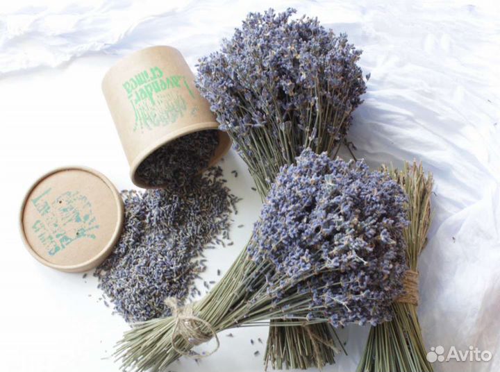 Букеты из лаванды