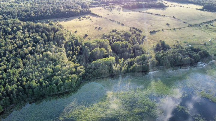 Участок 5,5 га (СНТ, ДНП)