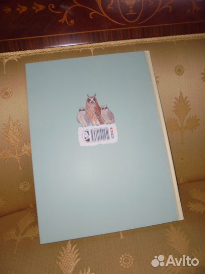 В лесу Зима весна лето осень Мелик-Пашаев 2021