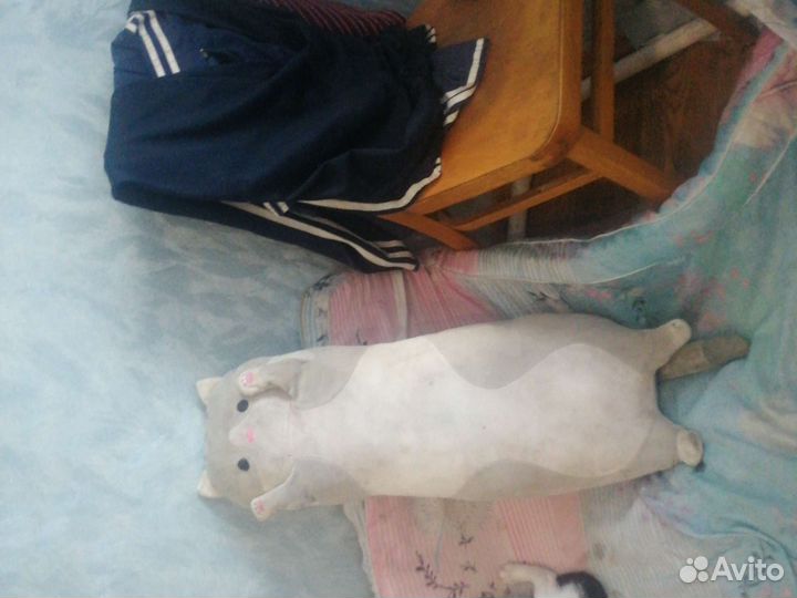 Плюшевый кот