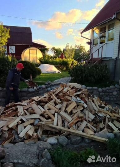 Дрова Береза в наличии в Ленобласти