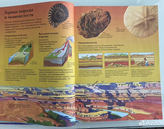 Новая детская энциклопедия (новая)