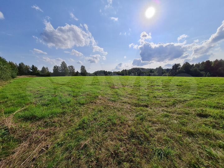 Участок 1,13 га (СНТ, ДНП)