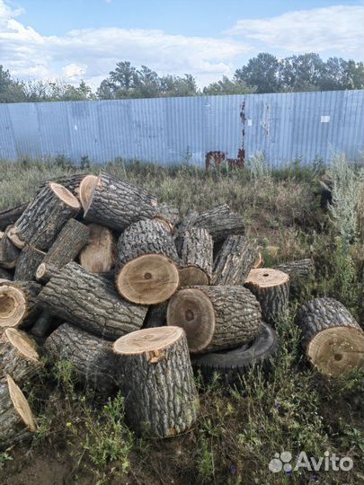 Дрова дубовые колотые