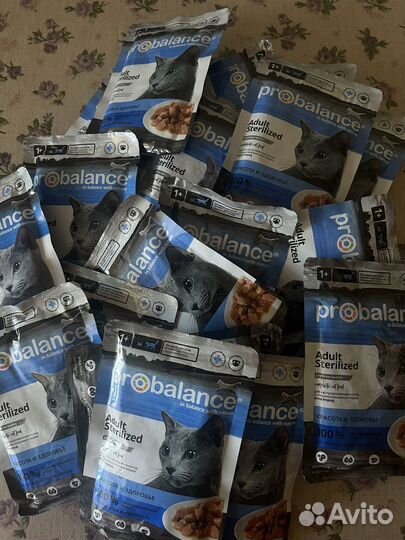 Влажный корм для кошек