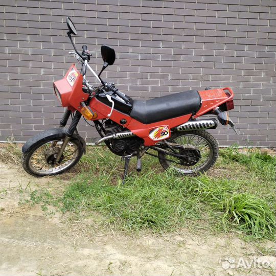 Зид пилот 50