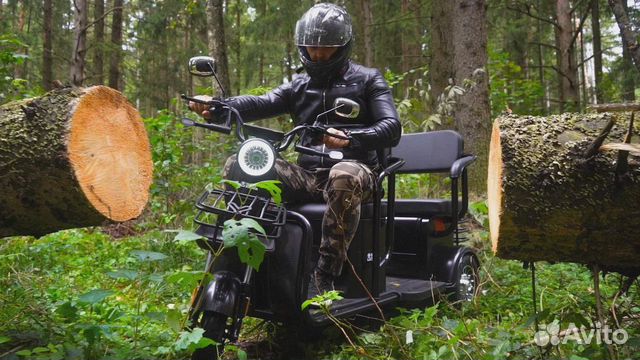 Электротрицикл White Siberia Sibtrike R 2000W