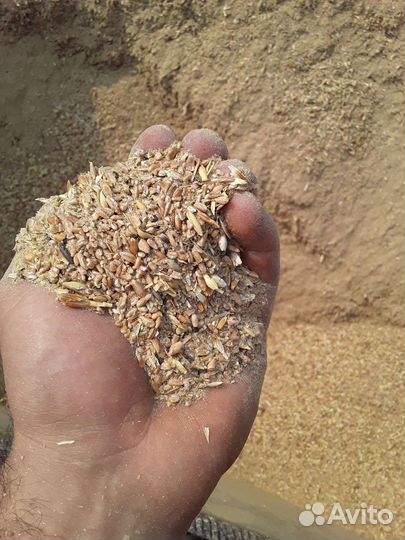 Отходы пшеницы сухие