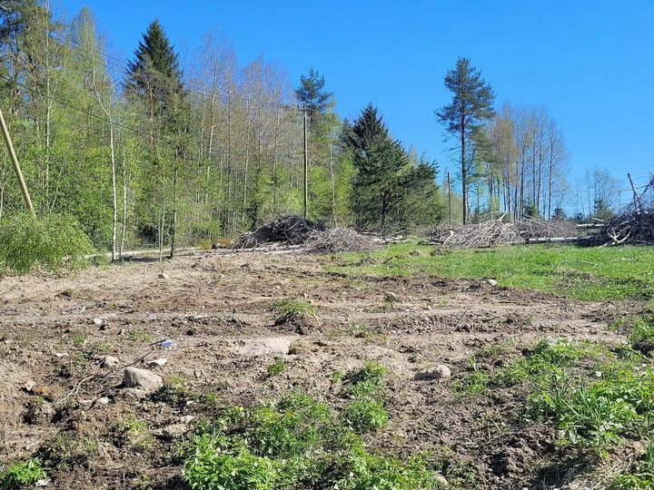 Участок 8 сот. (ИЖС)