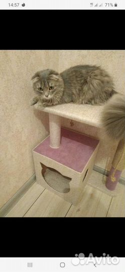 Домик для котят