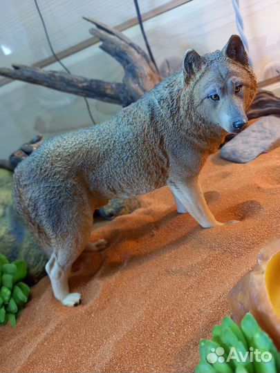 Фигурки животных,волк