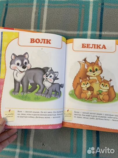 Полный годовой курс занятий Жукова 1-2 года