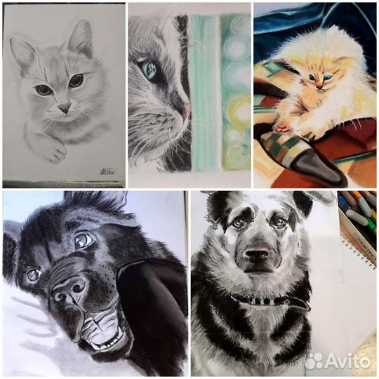 Портрет питомца