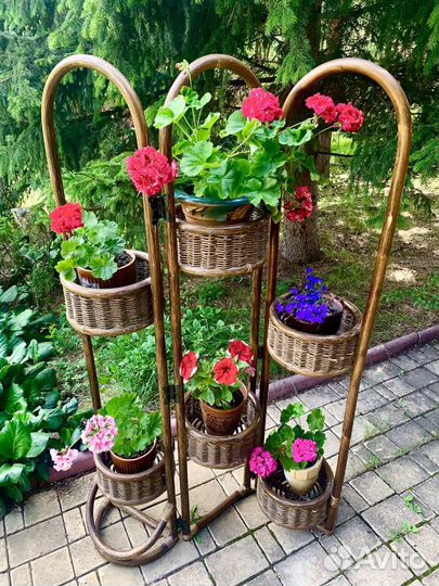 Цветочница ротанговая