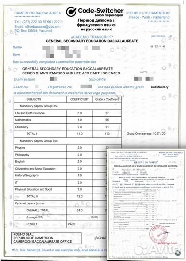 Профессиональный перевод документов