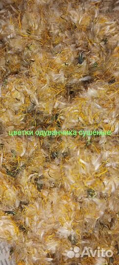 Лист одуванчика, стебли, цветки; лист крапивы