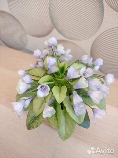 Фиалки листья черенки