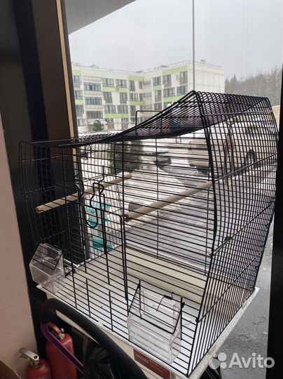 Клетка. Пользовались 2 дня