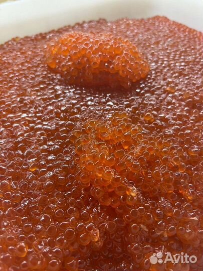 Красная икра кеты 2023г розница/Опт