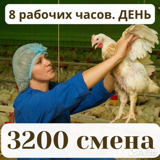 Вахта Пенза бесплатно из Димитровграда вакцинатор