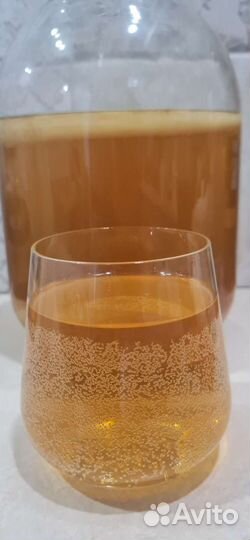 Чайный гриб