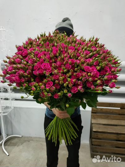 Кустовые розы
