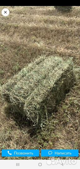 Сено в тюках