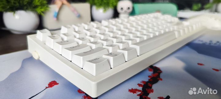 Клавиатура zet gaming immortality tkl