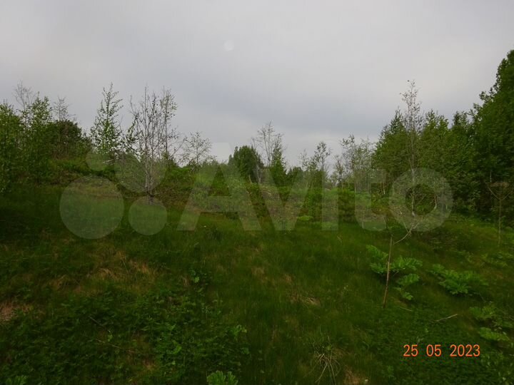 Участок 20 сот. (СНТ, ДНП)