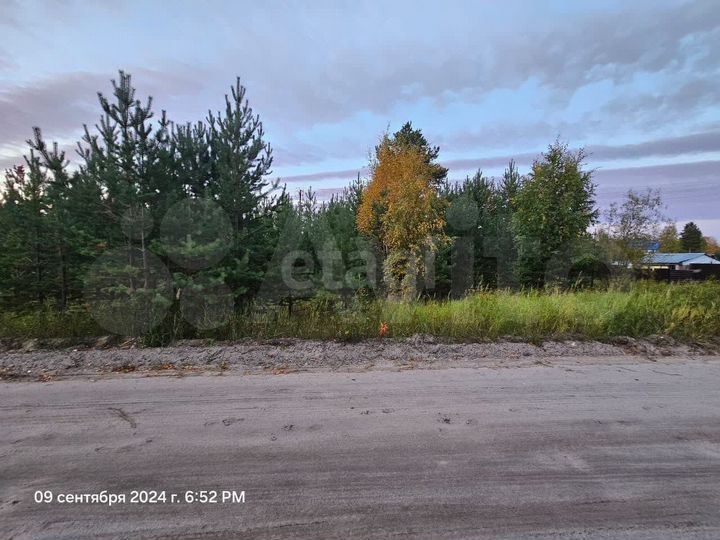 Участок 11,5 сот. (ИЖС)