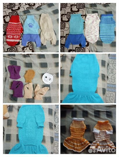 Одежда для маленьких собак