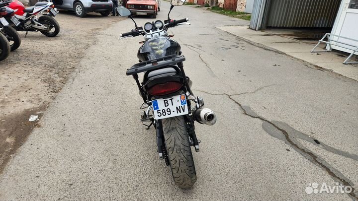 Suzuki bandit