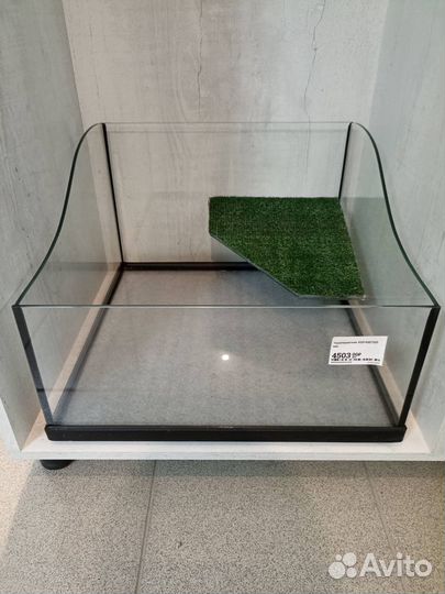 Черепашатники / Мостик для черепах