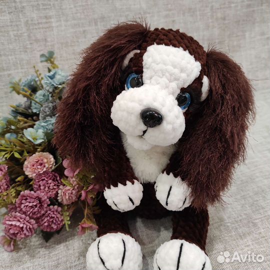 Собачка спаниель