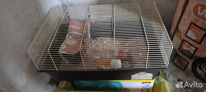 Большая клетка