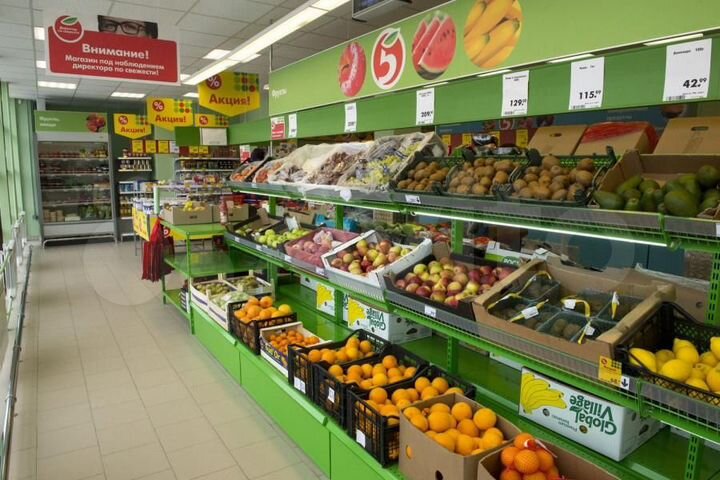 Помещение с фед. арендатором (Пятерочка), 569